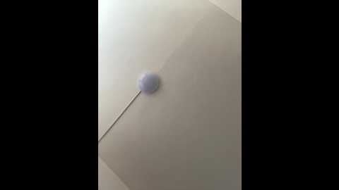 vivivision99 @ stripchat on 20260311