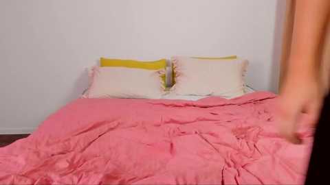 wishkisss @ stripchat on 20260311