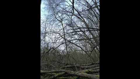 _leasophie @ stripchat on 20260312