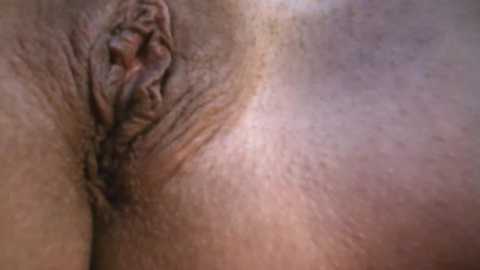 everydayonli @ stripchat on 20260313