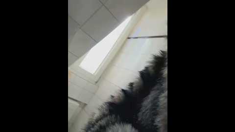 selinagalinsky6 @ stripchat on 20260313