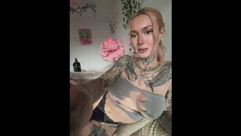 stella_kink @ stripchat on 20260313