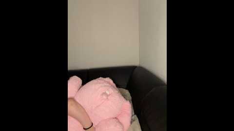 zoey__08 @ stripchat on 20260313