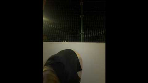 sophievj @ stripchat on 20260314