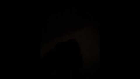 theprettytiana @ stripchat on 20260314