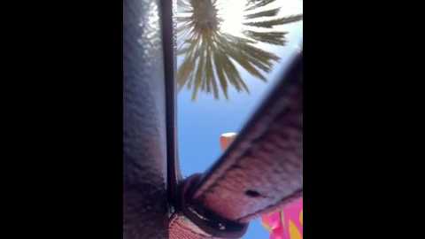 sophievj @ stripchat on 20260315