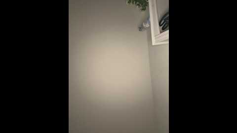 zoey__08 @ stripchat on 20260315