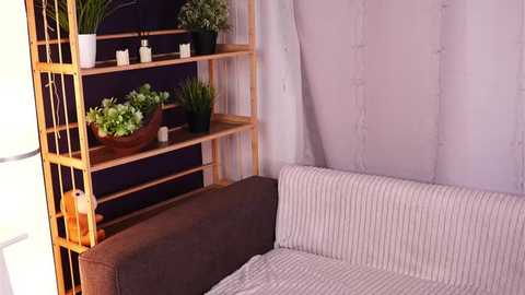 dottytaliaferro @ stripchat on 20260322