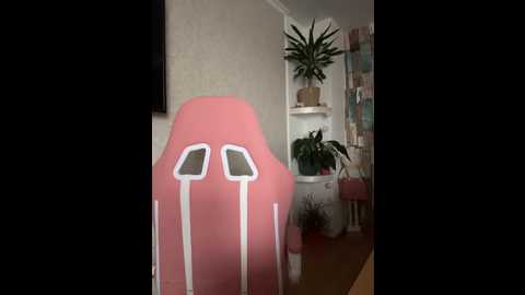 zenaidasasha @ stripchat on 20260322