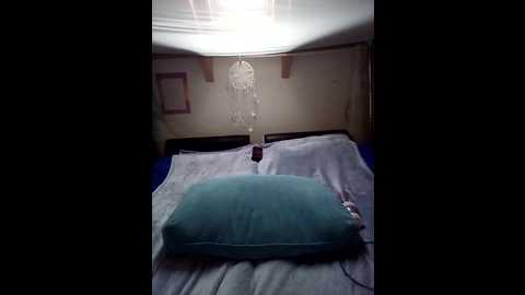 roxy_74 @ stripchat on 20260325