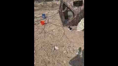 xiaotiantian_10 @ stripchat on 20260325