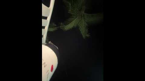 laura_vanesa @ stripchat on 20260326