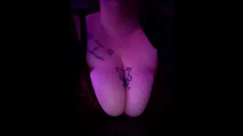 ludderlotta @ stripchat on 20260327