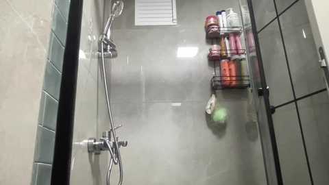 petitebeauty @ stripchat on 20260327