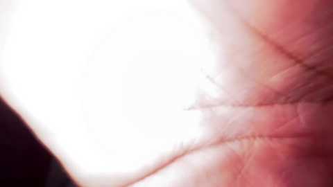 elithee__ass___ @ stripchat on 20260328