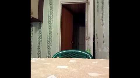 symmetryinvoid @ stripchat on 20260328