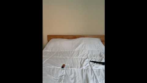 ariadomina @ stripchat on 20260329