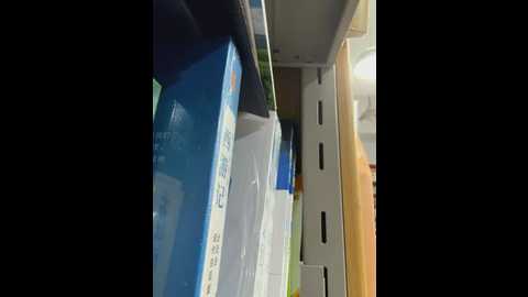 zhizhibaobei @ stripchat on 20260329