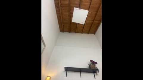 giavalenti @ stripchat on 20260330