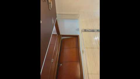 bunny_sexy01 @ stripchat on 20260331