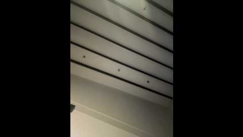 curchez_ @ stripchat on 20260331