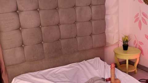 lena_fox_ @ stripchat on 20260331