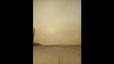 orla_love @ stripchat on 20260401