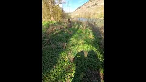 claudia__frank @ stripchat on 20260405