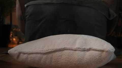 kisakis @ stripchat on 20260405