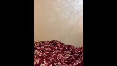 labelleamira @ stripchat on 20260405