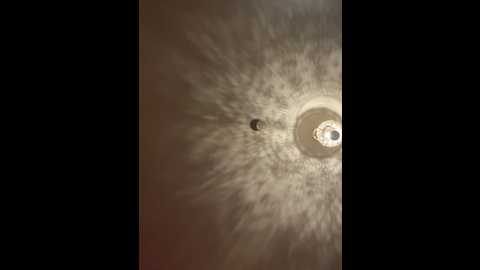 420lina666 @ stripchat on 20260406