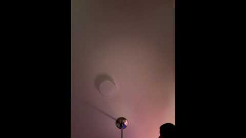 bellaavixen @ stripchat on 20260408