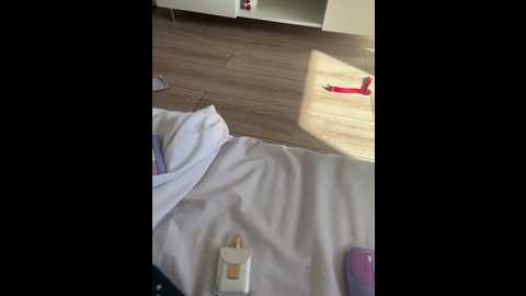 monica_law_ @ stripchat on 20260408