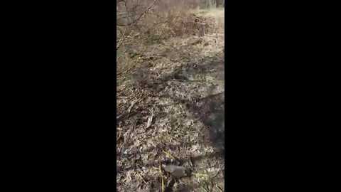 salfetka_sex @ stripchat on 20260411