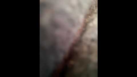 only_april @ stripchat on 20260412