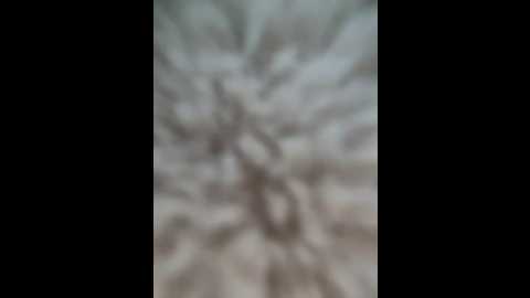 fayeflame @ stripchat on 20260414