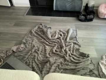 laylakutiex @ stripchat on 20260414