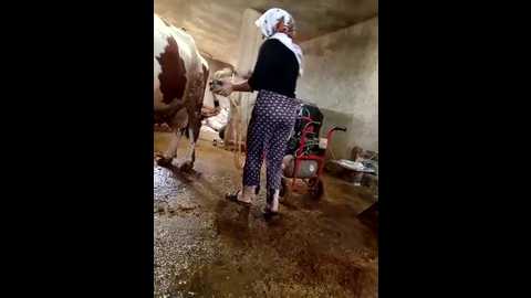 melekyaraksever2545 @ stripchat on 20260414